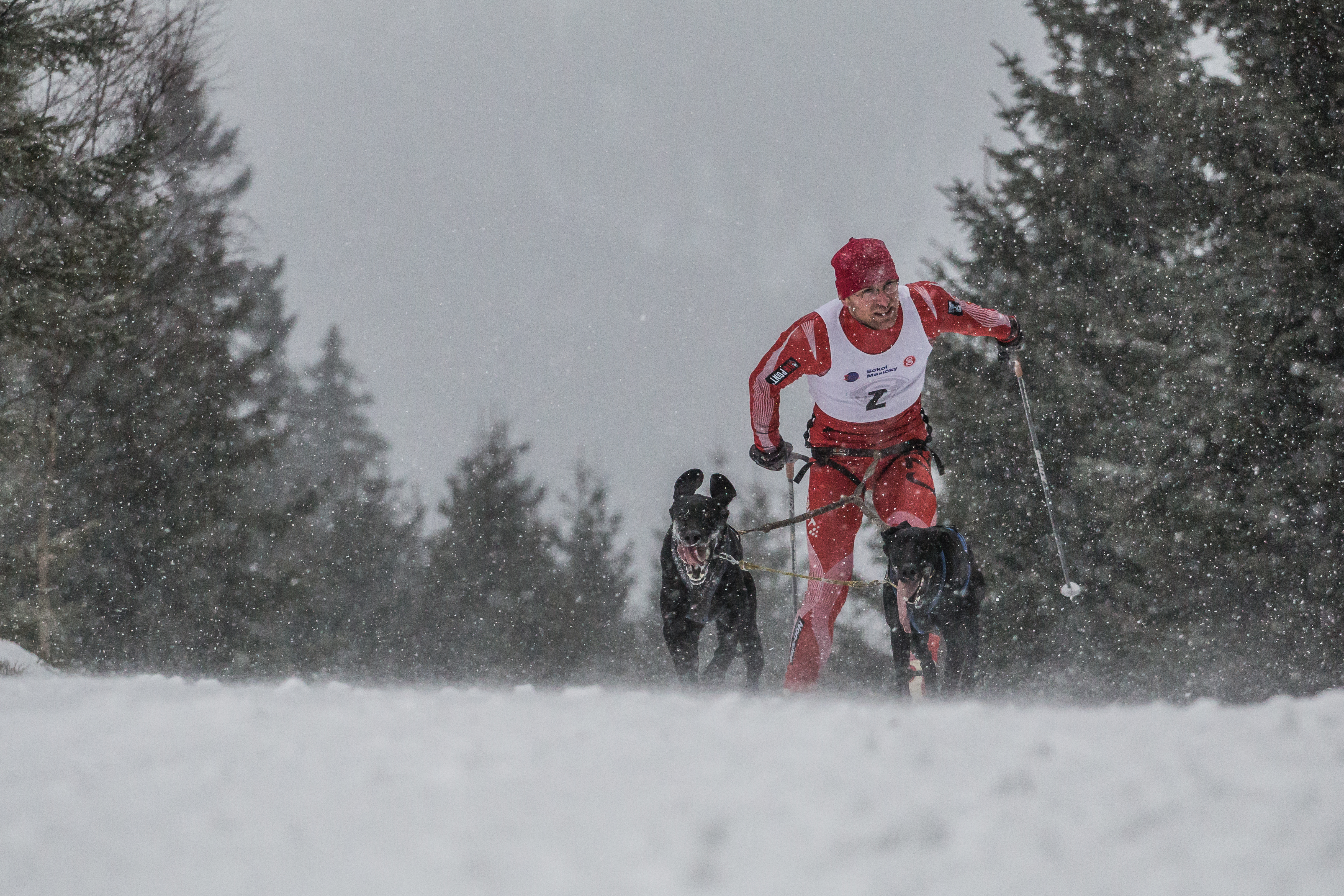 Zimní závod na Horních Mísečkách 5. - 6. ledna 2019