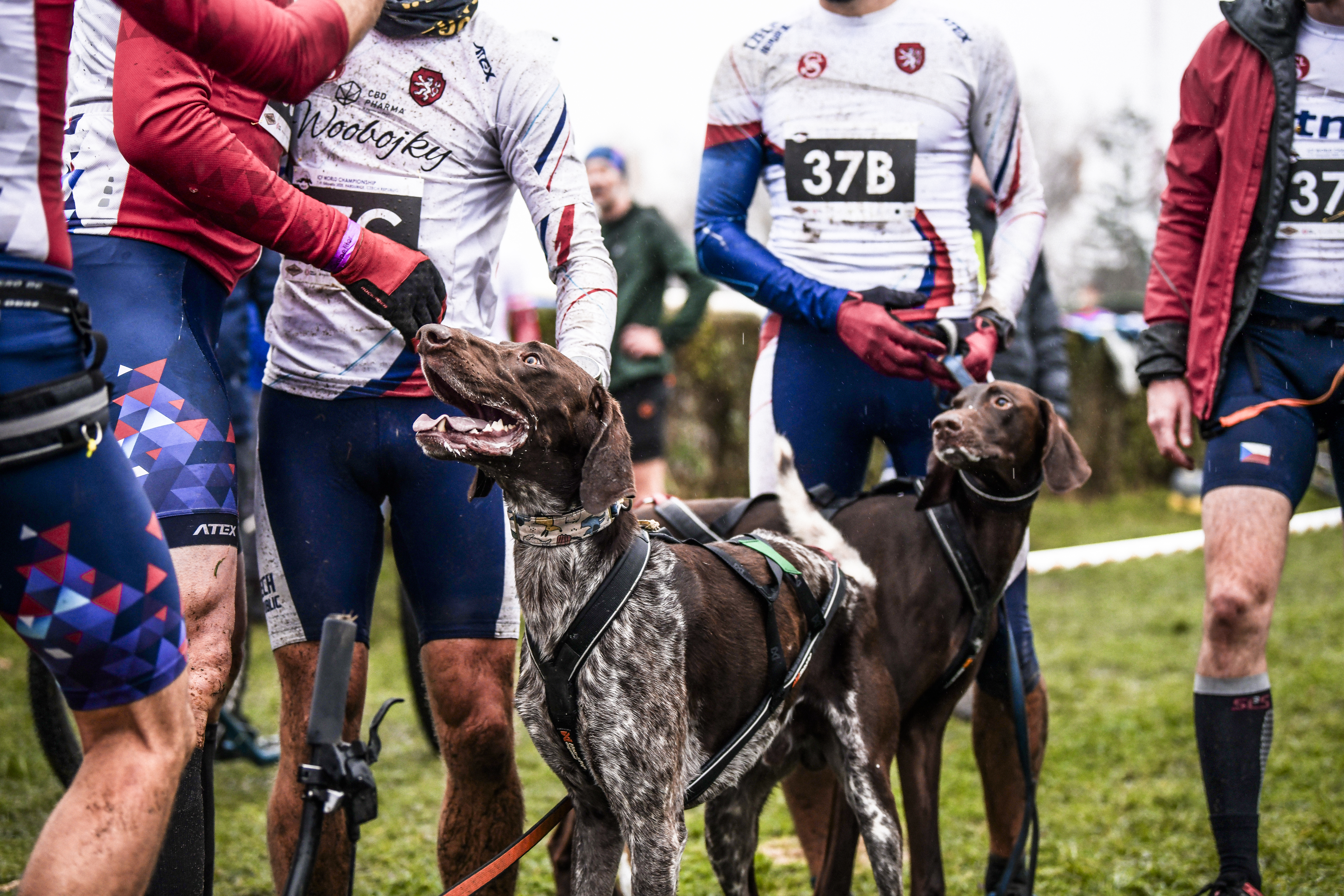 Závazné přihlášky na MS ICF 2026 5. - 8. 11. 2026 Owińska, Polsko 