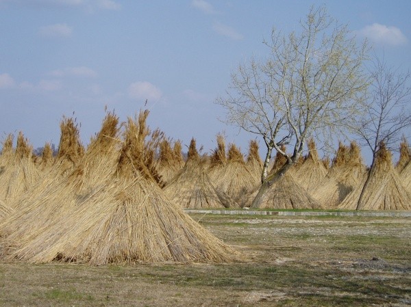 Pár fotek z cesty- Neusiedler see a Sopron